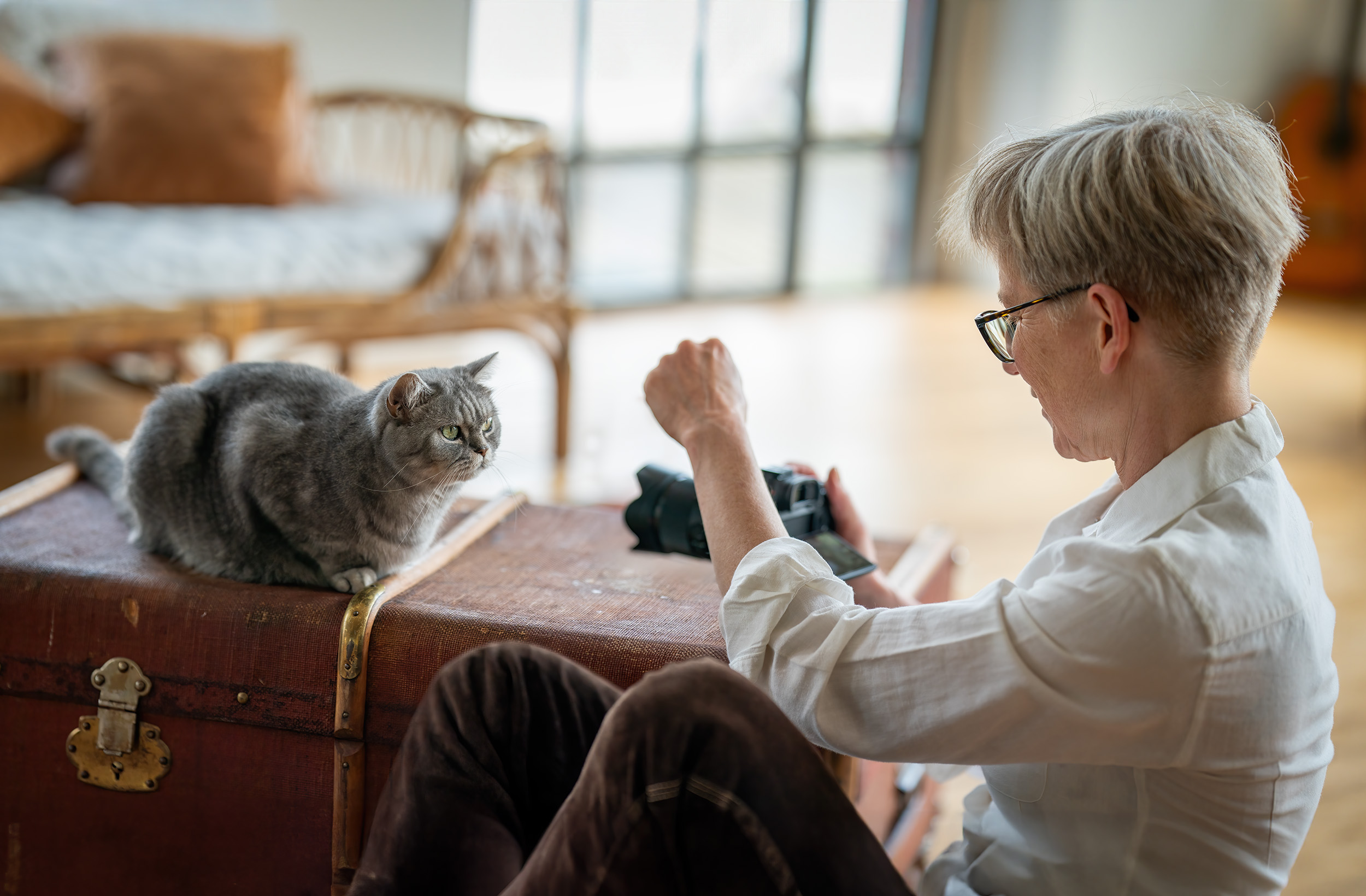 Tierfotografin fotografiert katze im studio