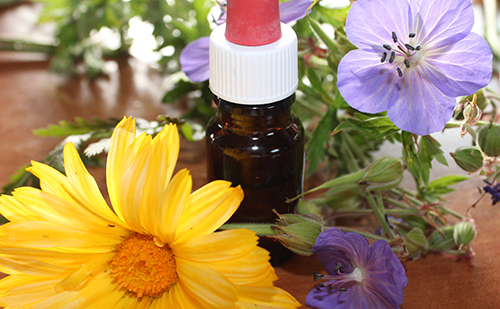 verschiedene Blüten